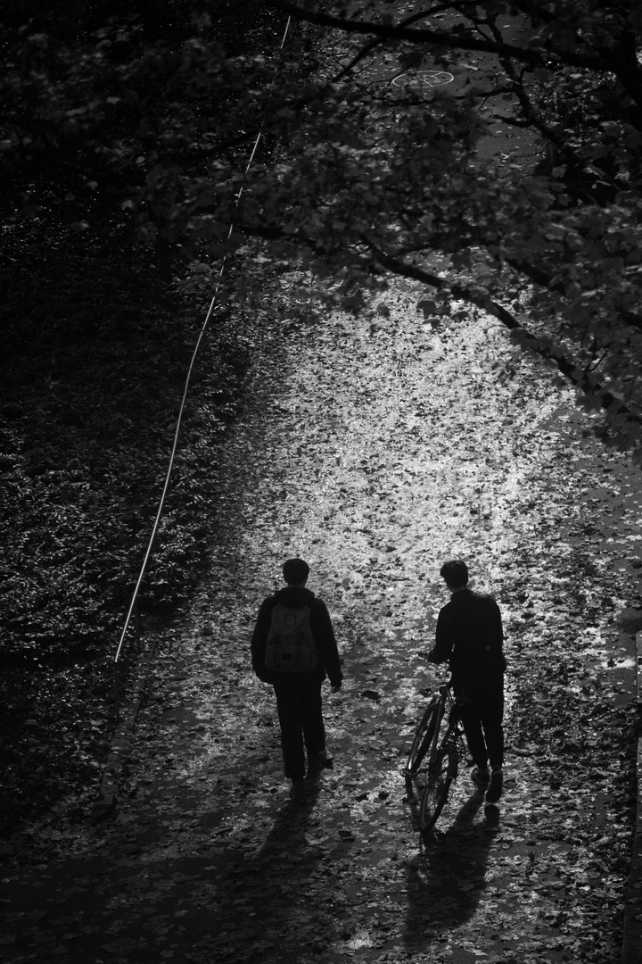 Walking on autumn leaves