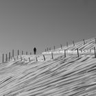 Walking on Pfänder