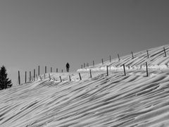 Walking on Pfänder