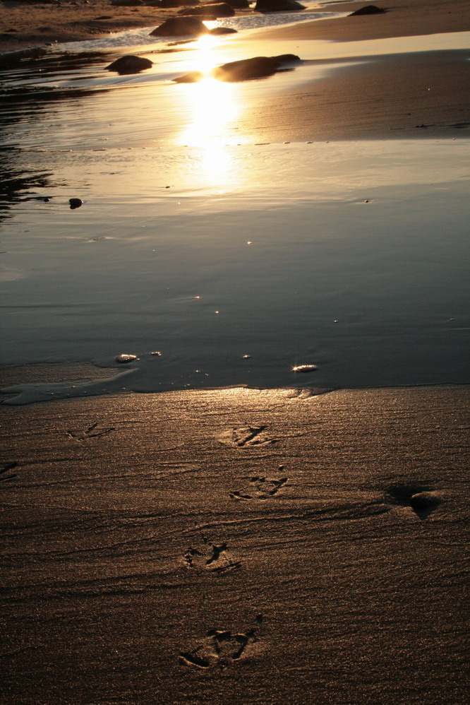 walking on sunset beach