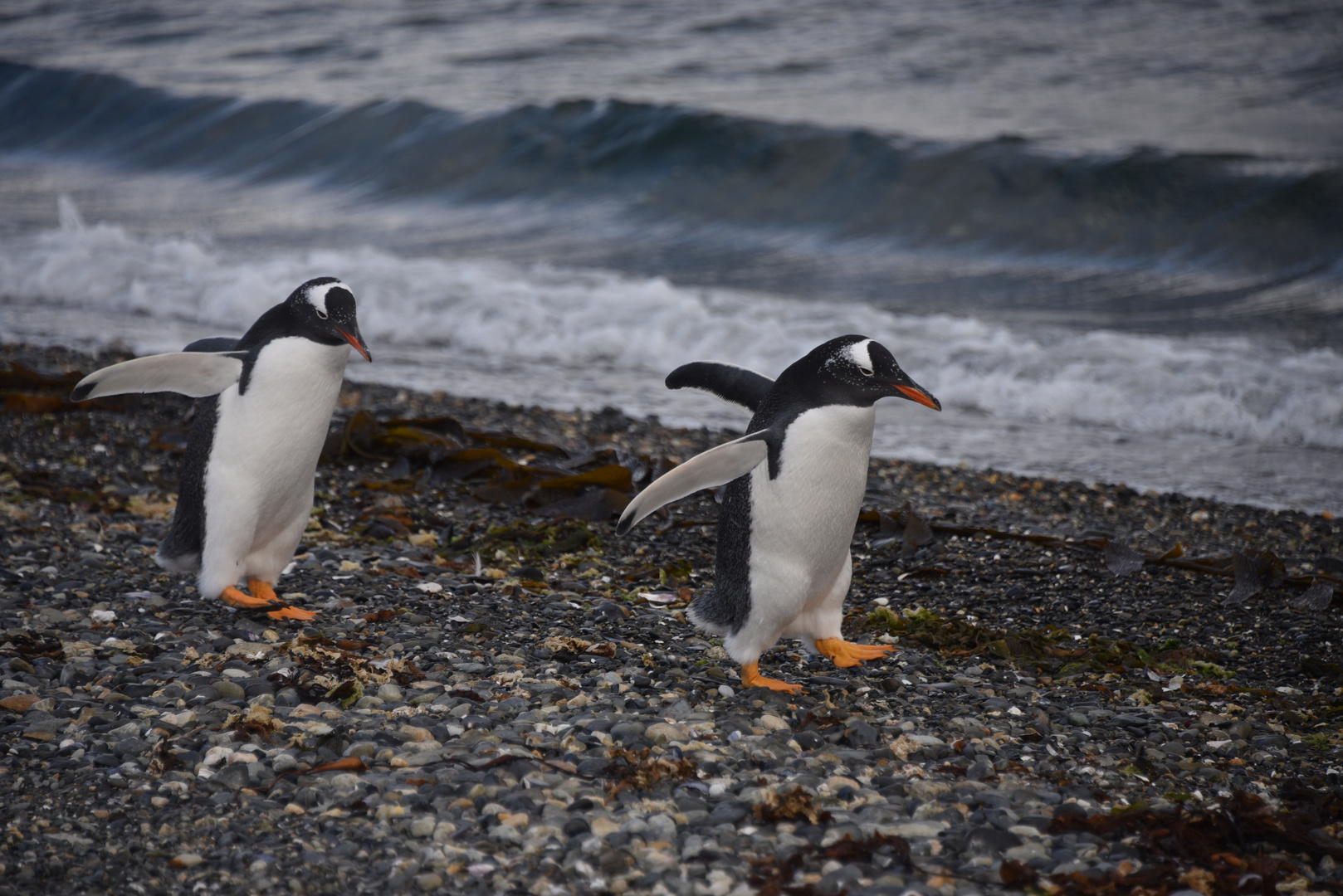 Walking on the beach