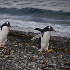 Walking on the beach