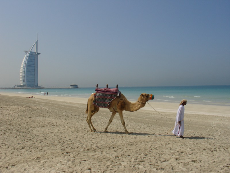 Walking on the beach