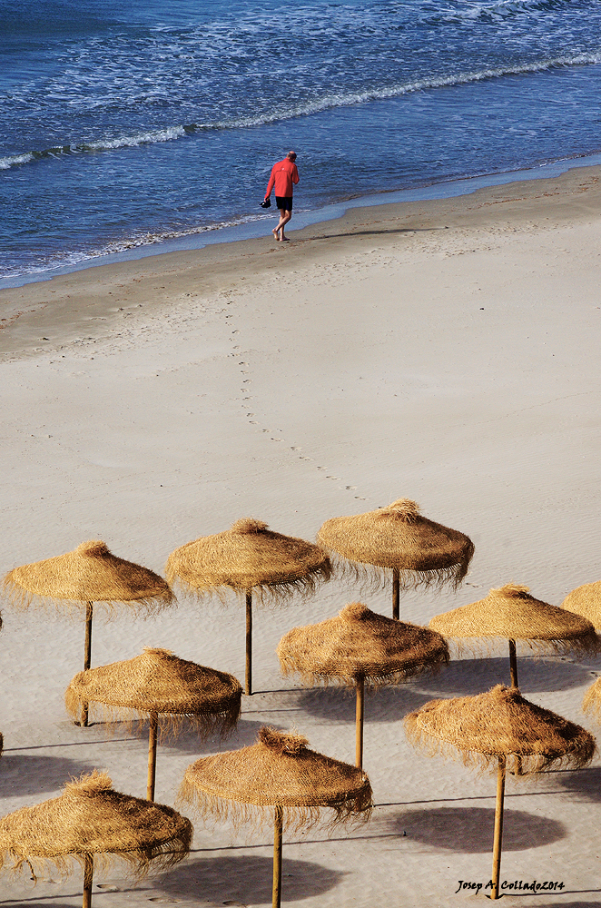 Walking on the beach