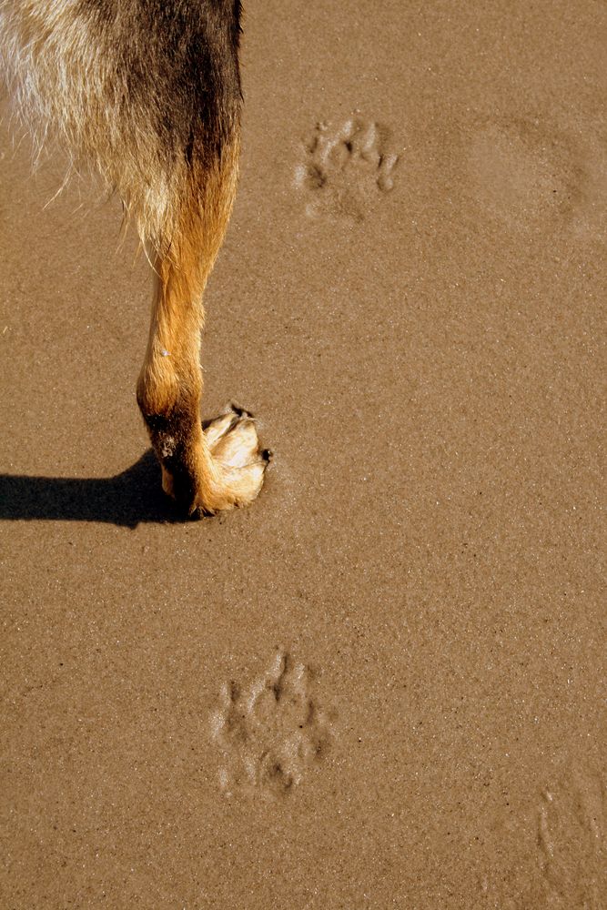 Walking on the Beach