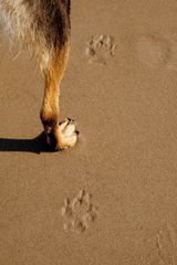 Walking on the Beach