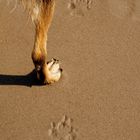 Walking on the Beach