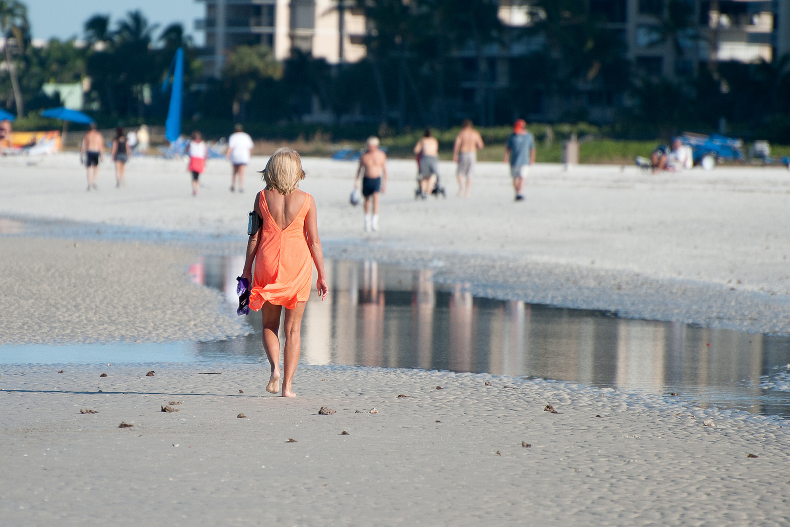 walking on the beach (Marco island Fl / USA)