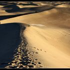 Walking On The Dunes Of Death Valley (California / Nevada)