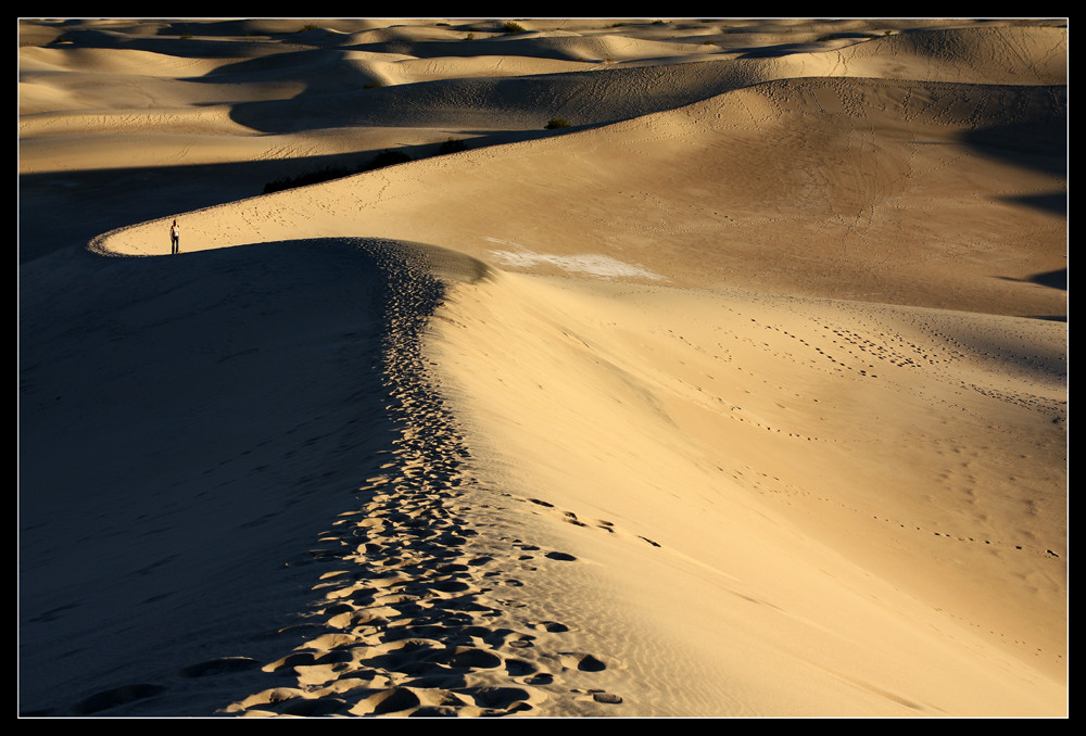 Walking On The Dunes Of Death Valley (California / Nevada) von Miguel H 