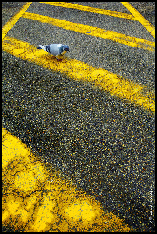 walking on the line