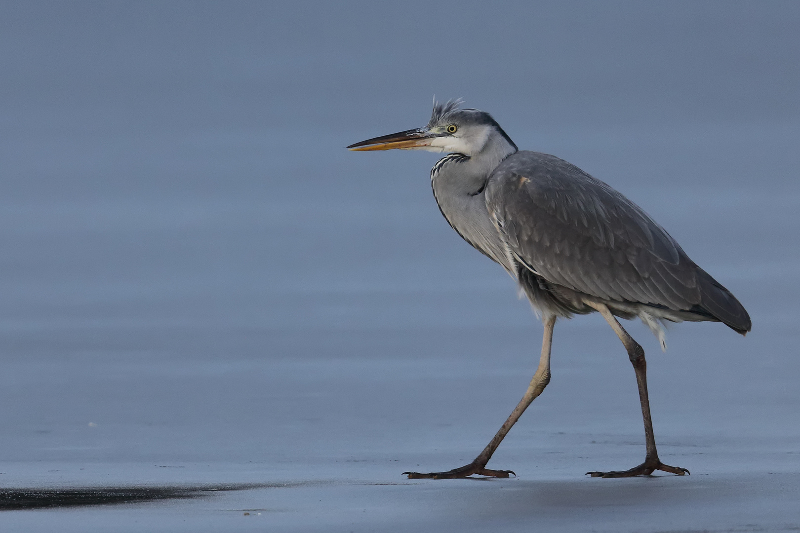 ...walking on thin ice...