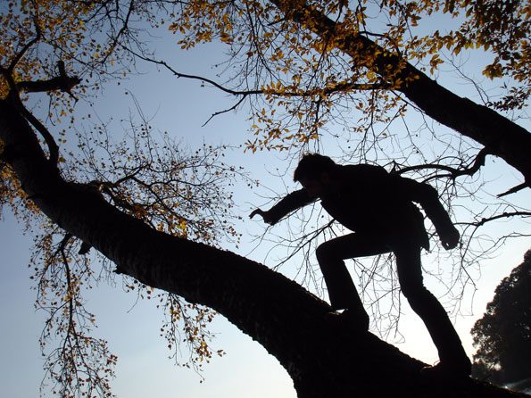 walking on trees