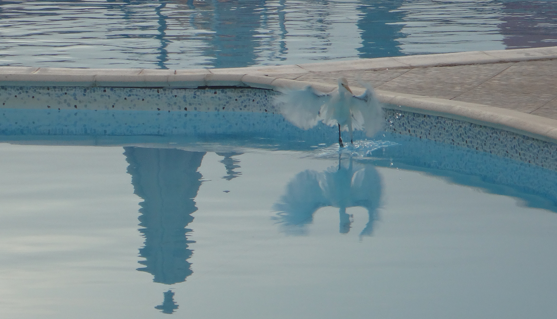 Walking on water