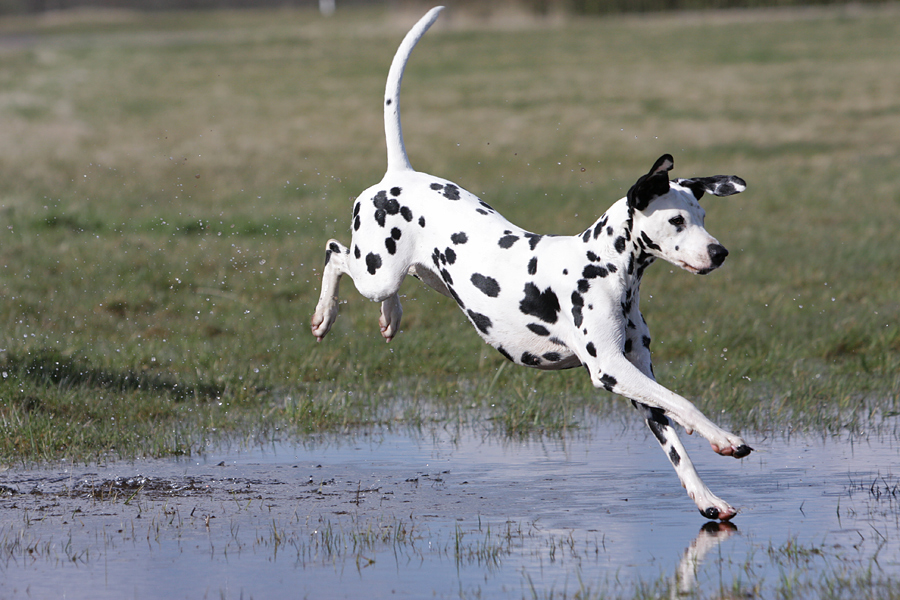 Walking on water