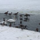 Walking on water