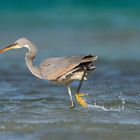 Walking on water