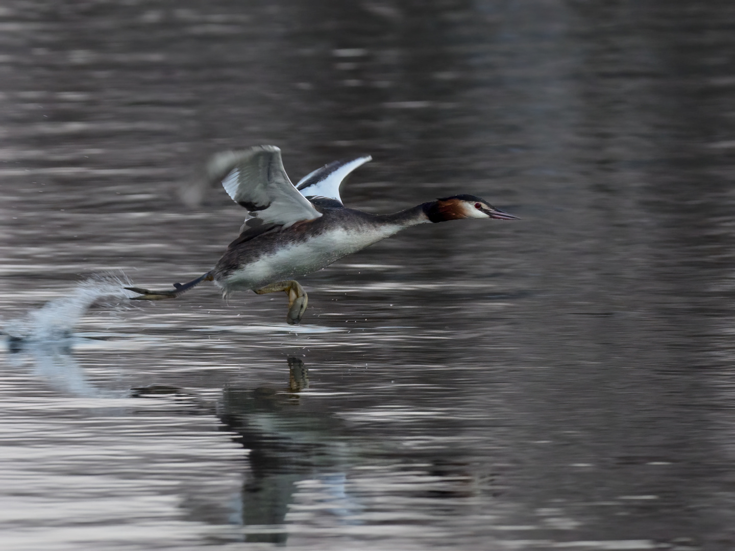 walking on water