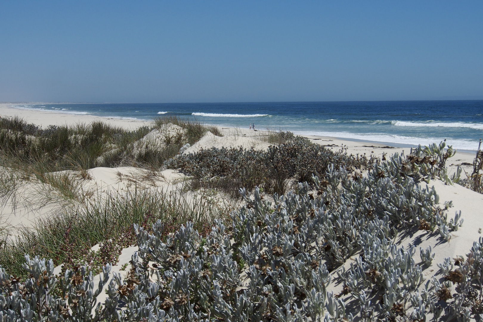 walking on white sand at Elands Bay