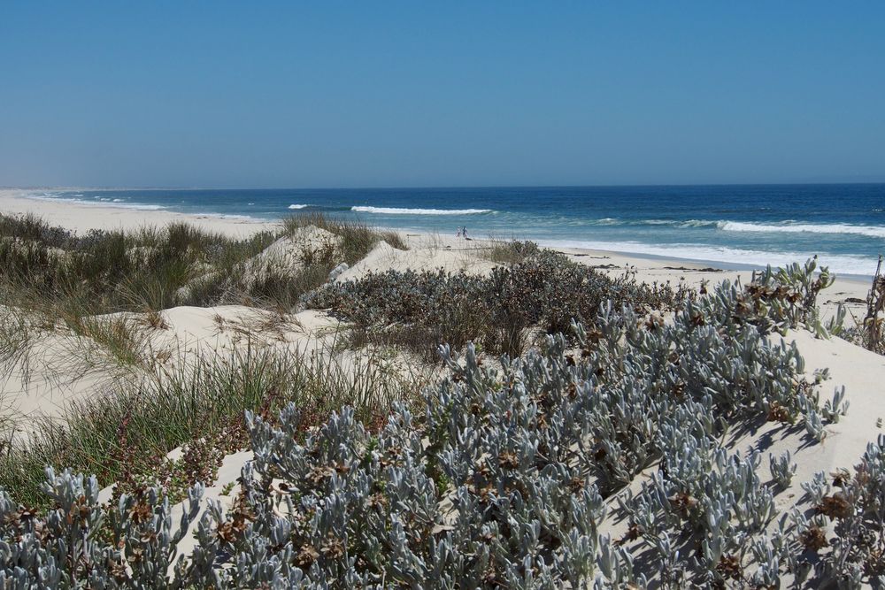 walking on white sand at Elands Bay