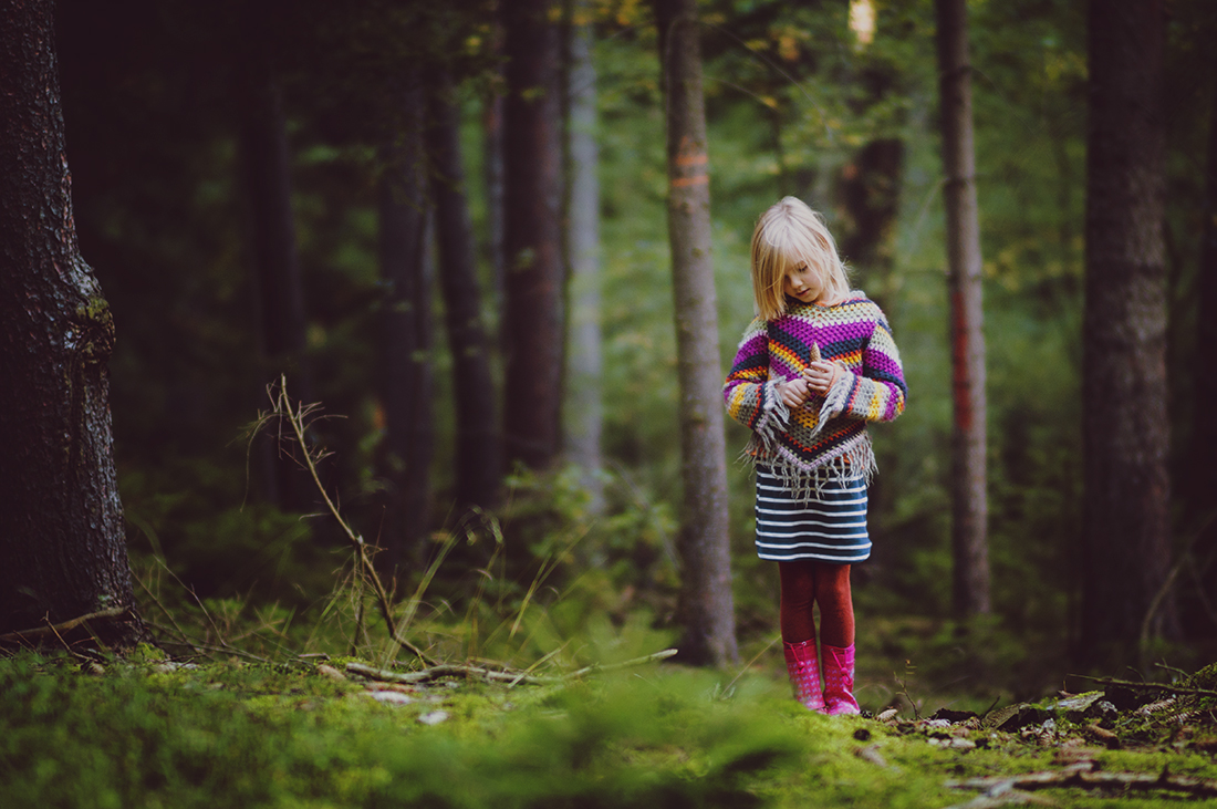 walking on wooden paths