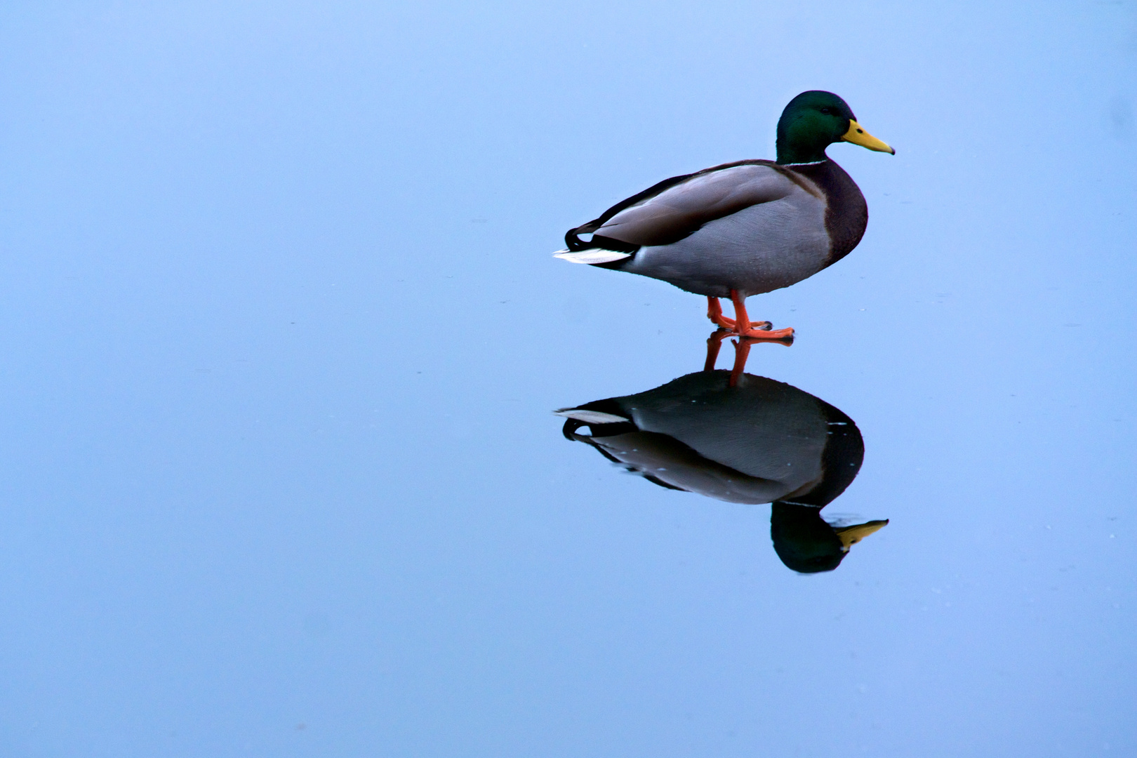 Walking over Water