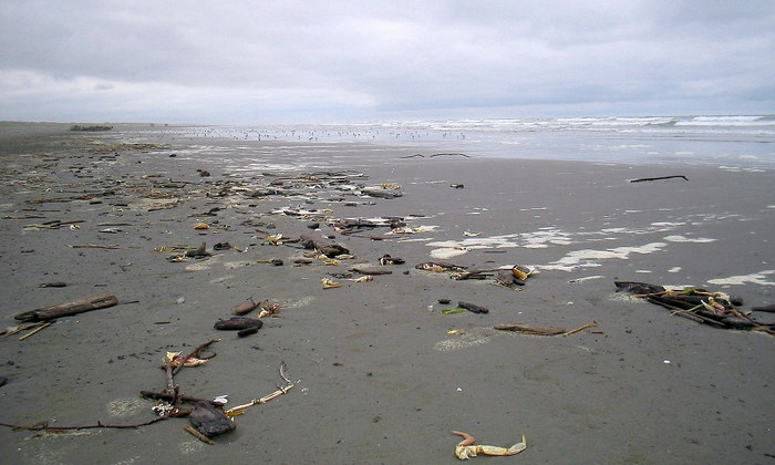 Walking the Beach