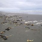 Walking the Beach