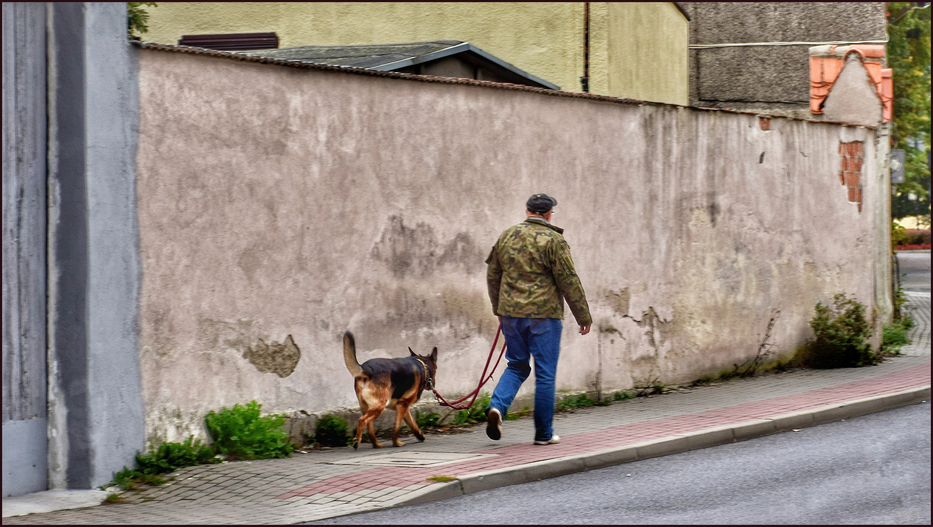 .... walking the dog .... (2019)