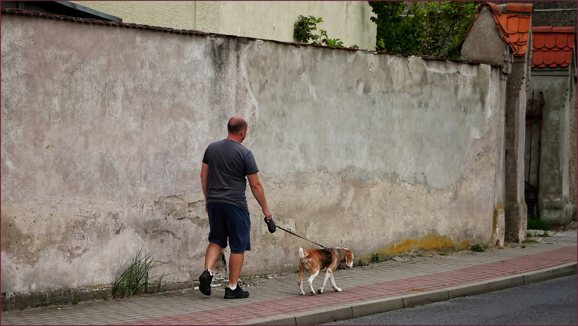 .... walking the dog ....(2023)