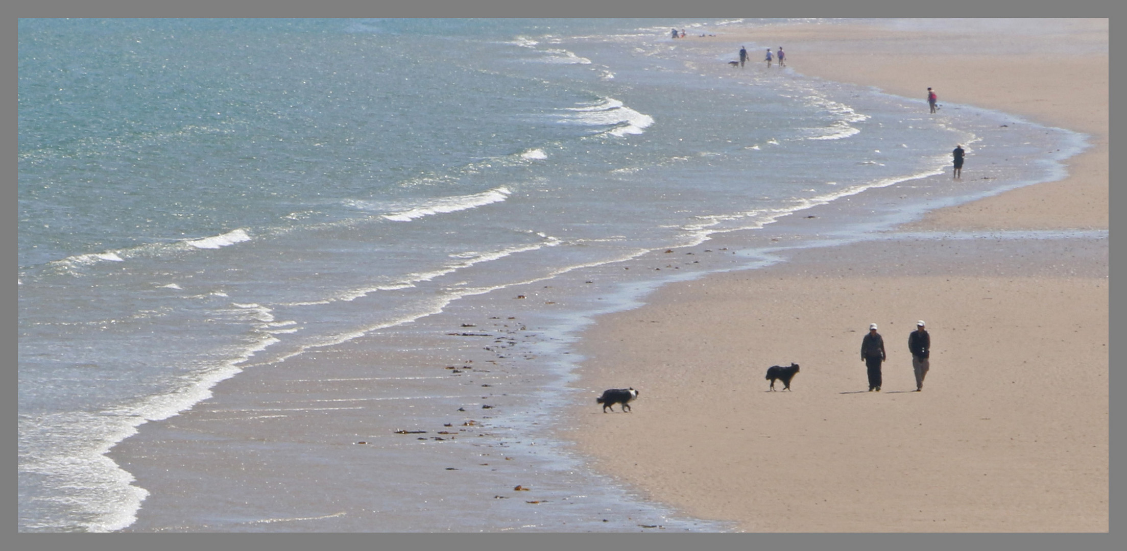 walking the dog at bamburgh sands 2A