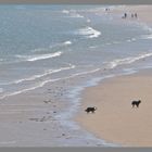 walking the dog at bamburgh sands 2A