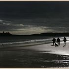 walking the dogs at embleton bay