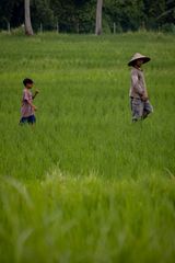 Walking the Fields