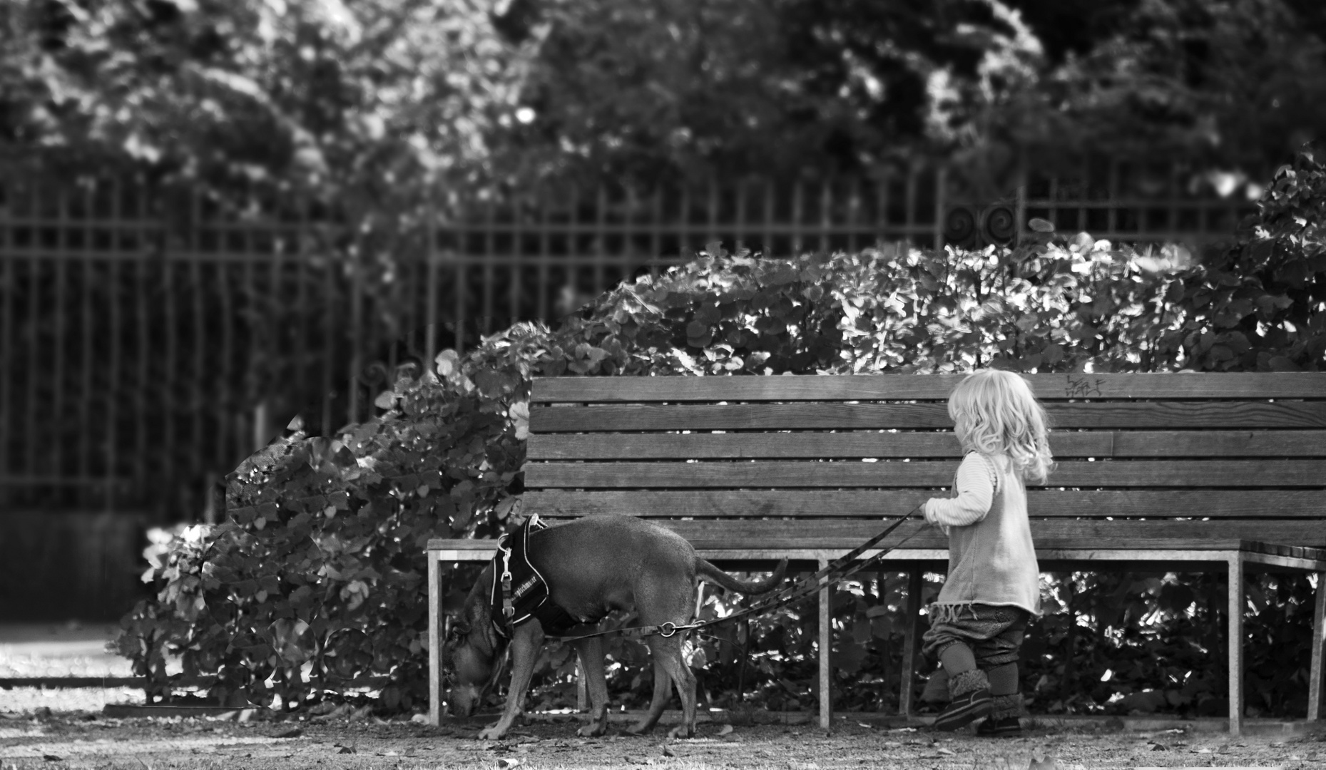 walking the girl