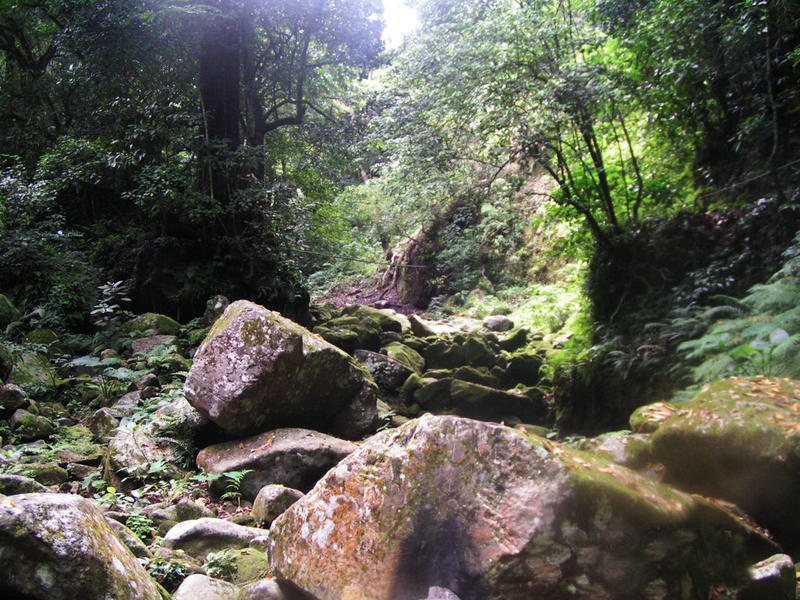 Walking the "ROAD" up to Mount Banahaw