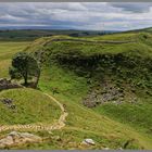 walking the roman wall at sycamore gap