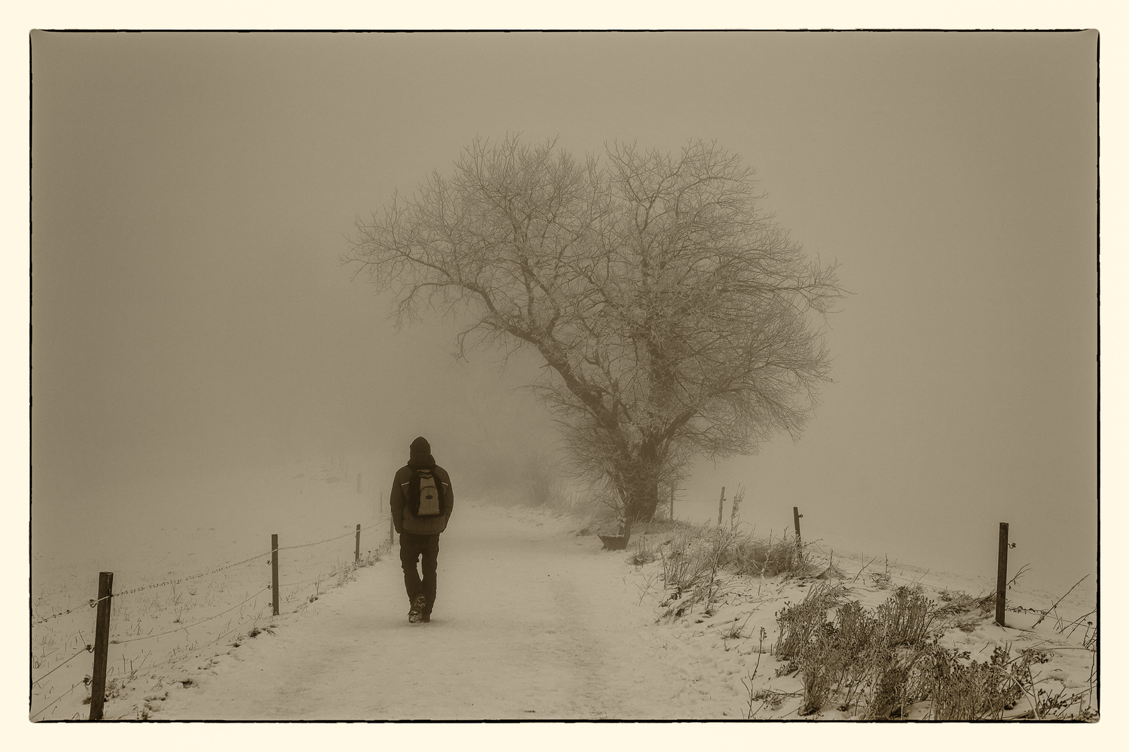 walking through a winter wonderland