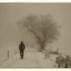 walking through a winter wonderland