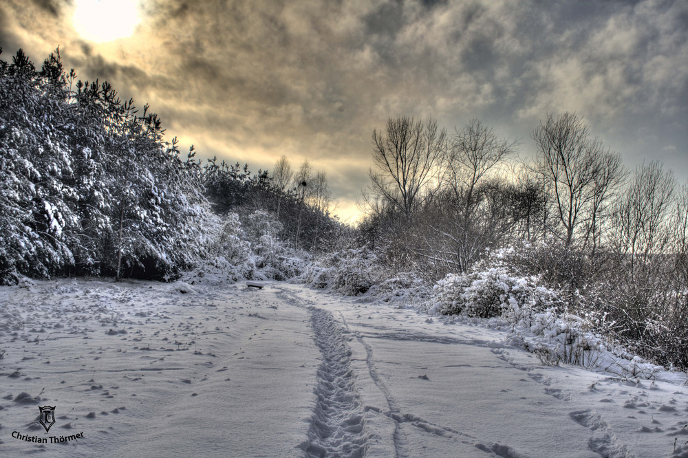 Walking through a winterwonderland