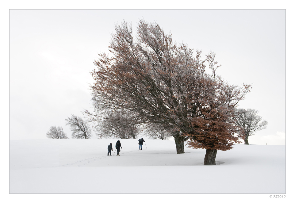 Walking through the snow