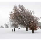 Walking through the snow