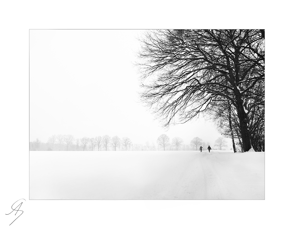 walking through the winter wonderland