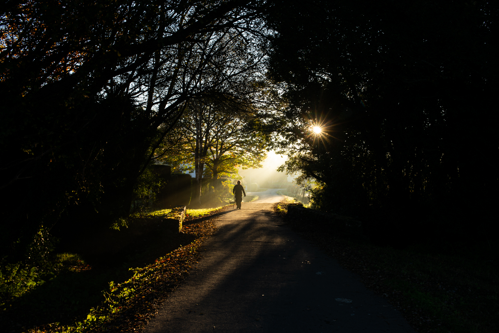 Walking to Santiago de Compostela