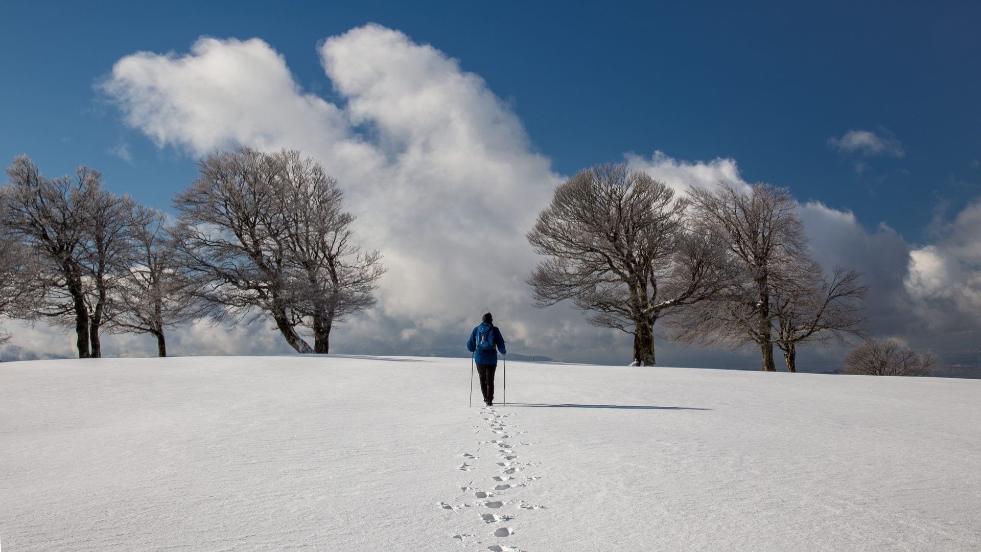 Walking to the clouds...