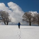 Walking to the clouds...