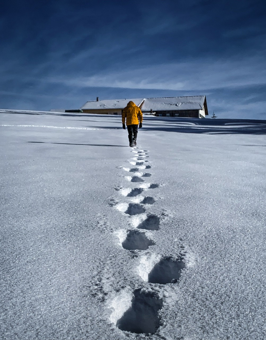 Walking to the top