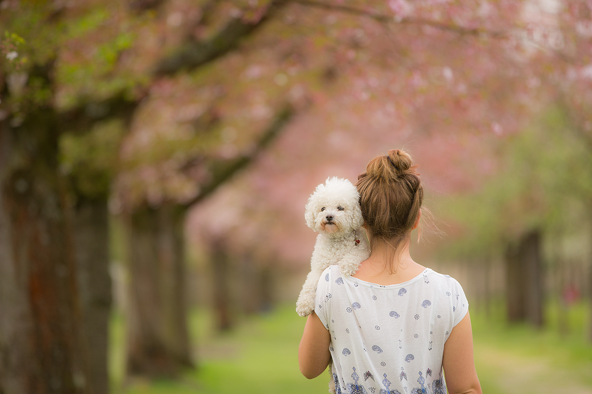 walking to weekend