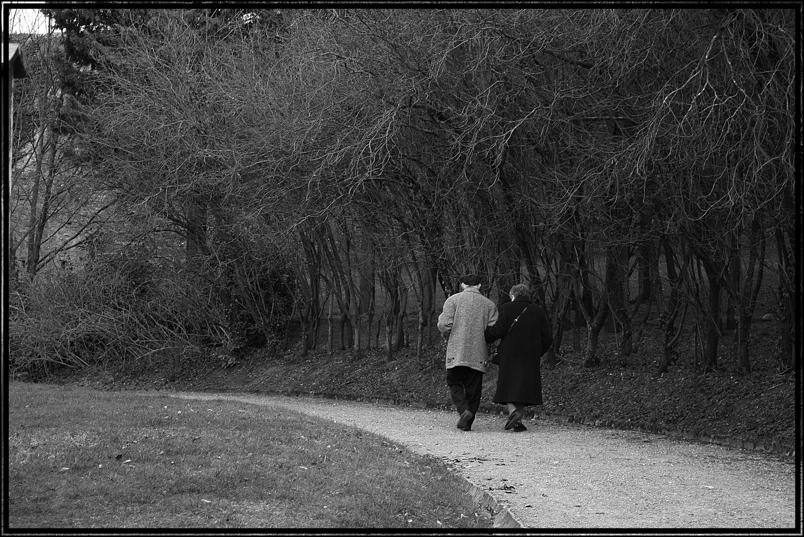 walking together