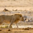 Walking towards breakfast